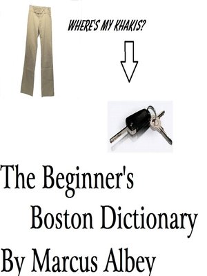 cover image of The Beginner's Boston Dictionary
